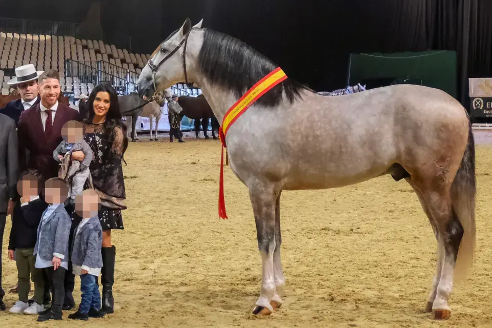 Sergio Ramos' World Champion horse which he sold to Saudi Arabia