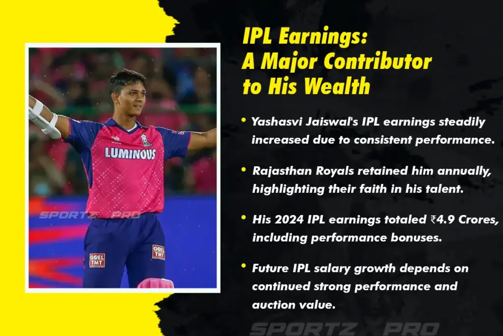 IPL Earnings A Major Contributor to His Wealth